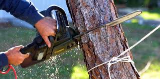 Best Soil Testing and Treatment  in Elkridge, MD